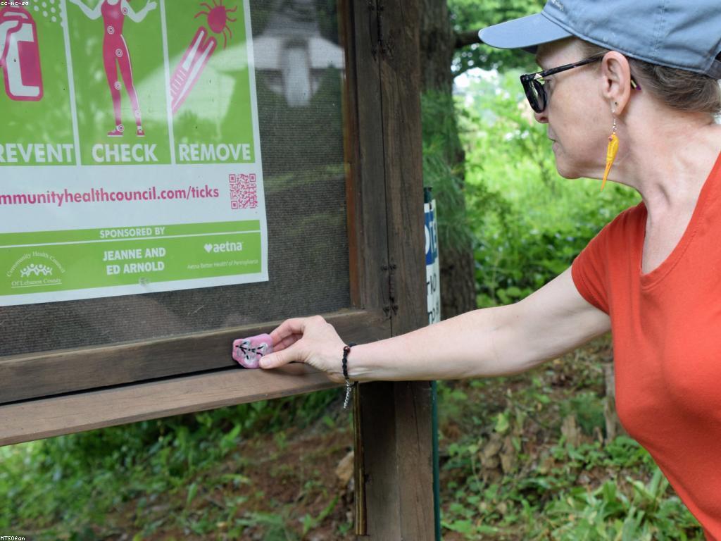 ការចូលរួមក្នុងការអភិវឌ្ឍសហគមន៍