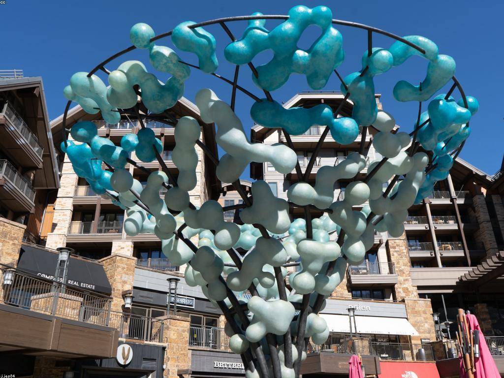 សំណួរញឹកញាប់អំពីការអប់រំ