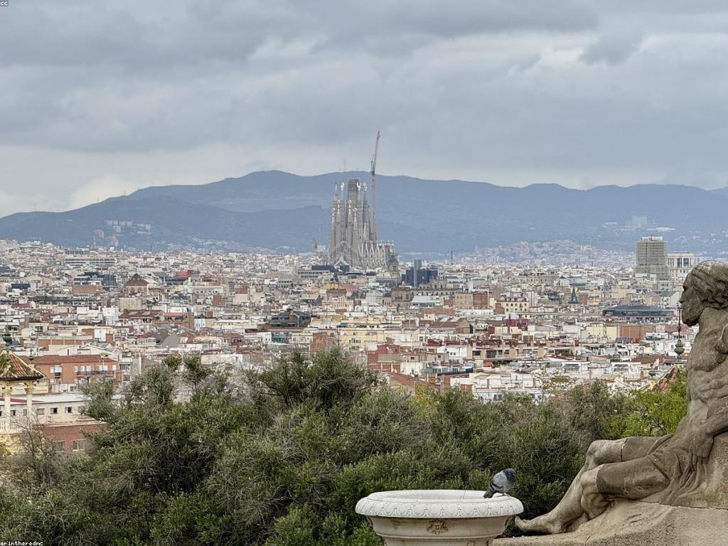 សំណួរញឹកញាប់អំពីសុខភាពផ្លូវចិត្ត