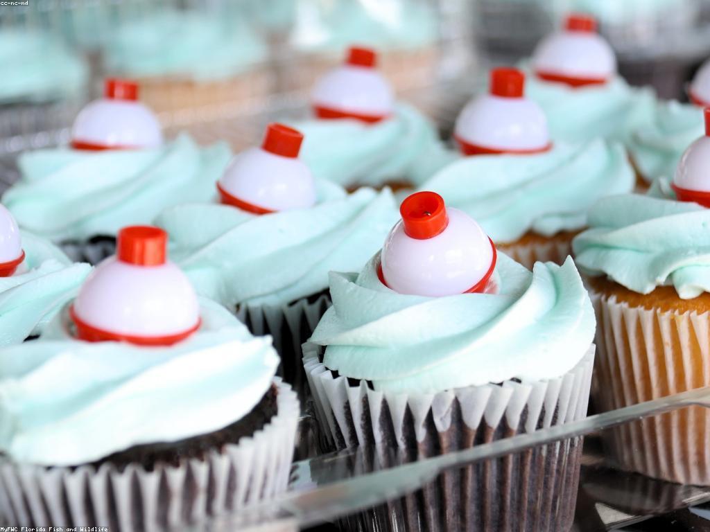 ការចូលរួមក្នុងបណ្តាញអប់រំដើម្បីការអប់រំប្រកបដោយអក្សរសាស្ត្រ