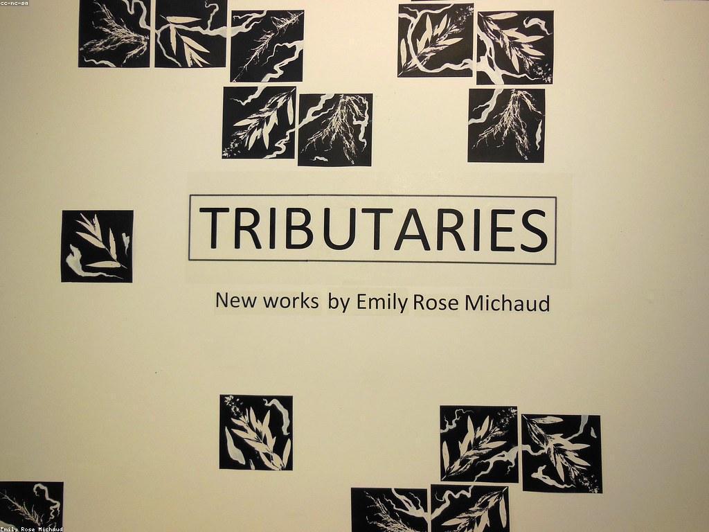 ចង់ចូលរួម: ដំណើរទៅរកការចូលរួមជាមួយសង្គម