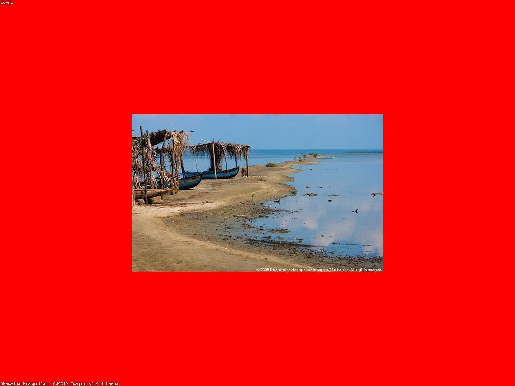 សំណួរញឹកញាប់អំពីបញ្ហាបរិស្ថាន