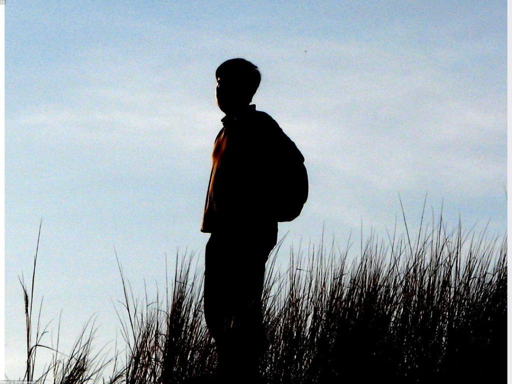 ព័ត៌មានអំពីការឈ្នះ: ការប្រៀបធៀបនៃភាពជោគជ័យ