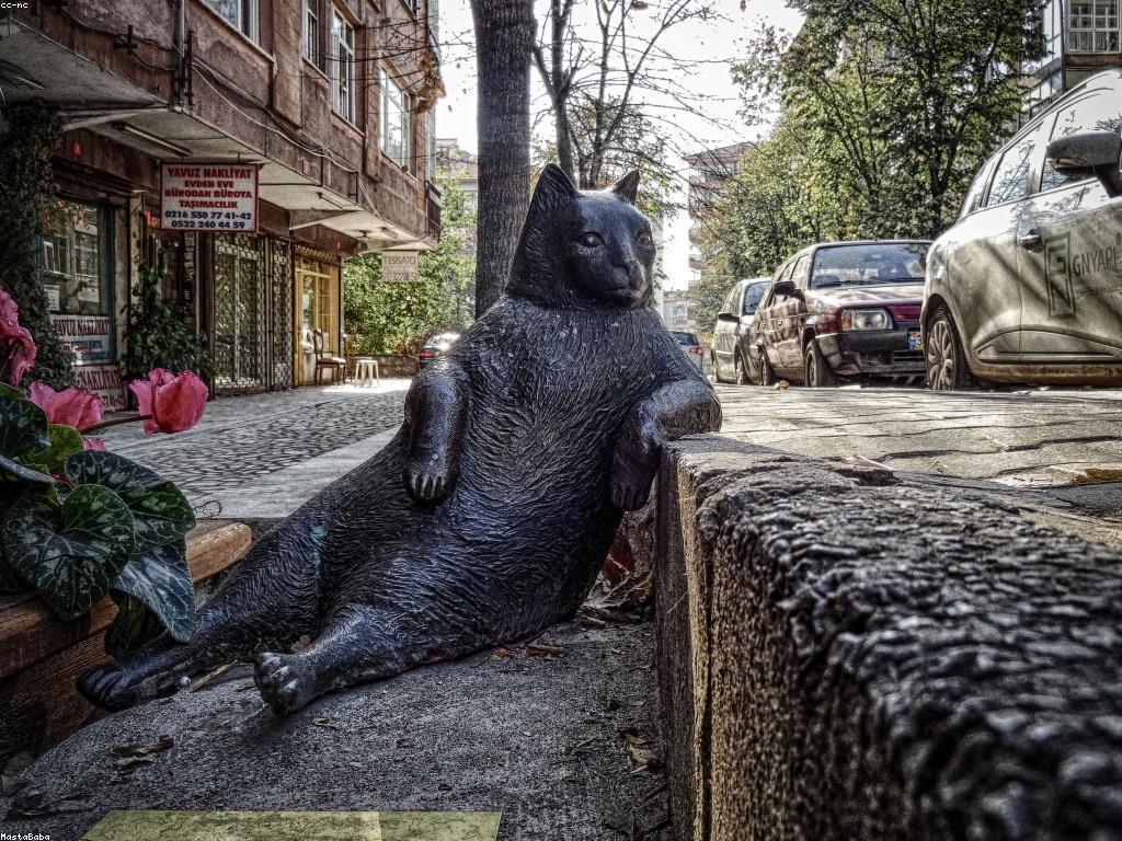 សំណួរញឹកញាប់អំពីការអភិវឌ្ឍន៍ផ្ទាល់ខ្លួន