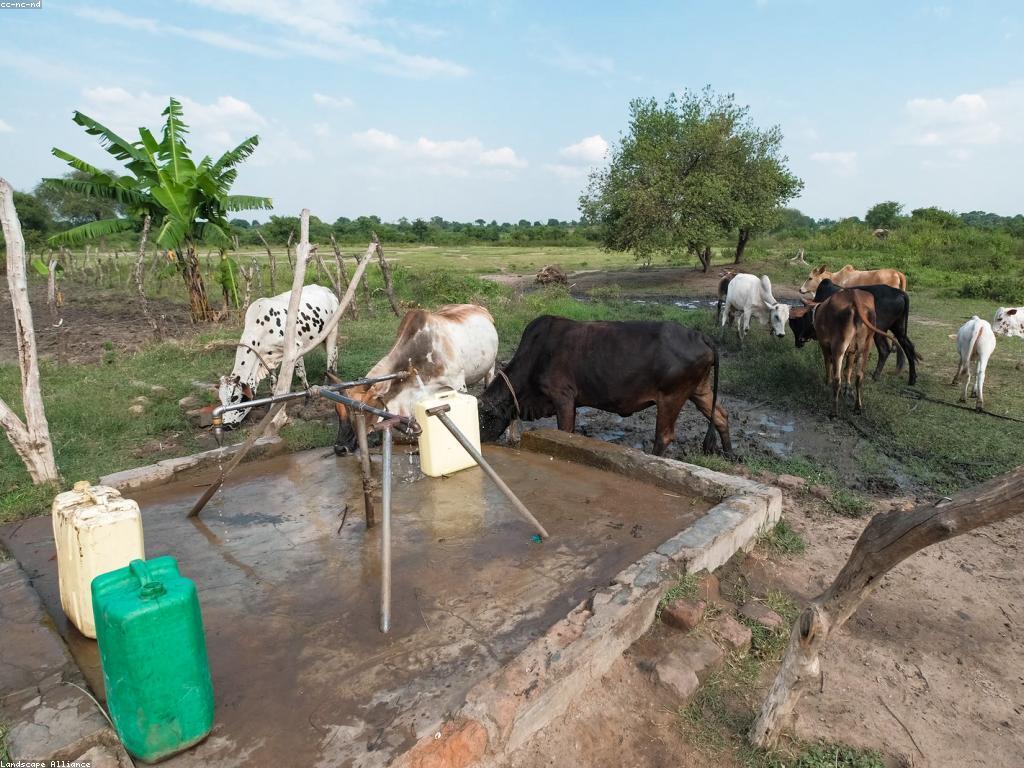 ឧបករណ៍ប្រសិទ្ធភាពសម្រាប់ការសហការណ៍